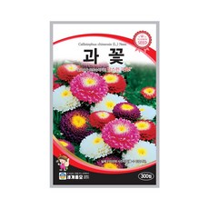 과꽃 씨앗 꽃씨앗 300립 세계종묘 모칸도, 1개