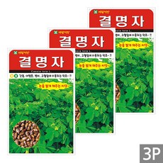 세인화분 결명자 200립 - 국산 씨 씨앗, 3개