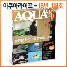 아쿠아라이프 2018년 01월호