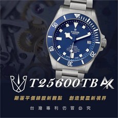 AK系列手錶保護膜 適用於帝舵 25600TB 鍊帶版