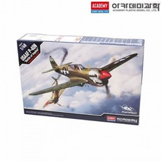 아카데미 1대48 미육군항공대 P-40N 임팔전투 (12341), 본상품, 1개