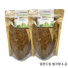 베타 알몬드잎 벌크형, 50g, 2개, A급