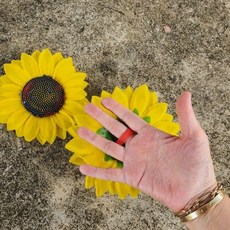 노란색 꽃잎 손잡이 응원 도구 행사 공연 발표회 축제 파티 단체 활동 장식 소품, 1개, 상세페이지 참조