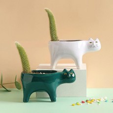 早晨香氣奇特貓咪花盆, 綠色, 1個