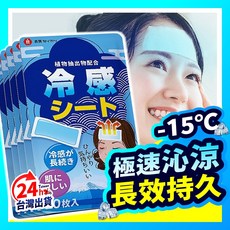 良質セイカ 冰涼貼 (10片裝) 降溫退熱 長效 охлаждающий патч, 1個, 日本良質系列 冰涼貼片 - 10入裝
