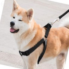 해들소다추천샵 대형견 목줄/하네스/리드줄 XS 블랙 애견하네스