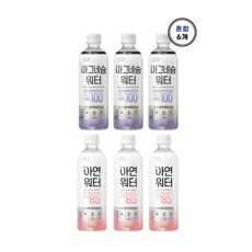 빙그레 제로슈거 워터 2종 혼합(아연 마그네슘), 6개, 500ml
