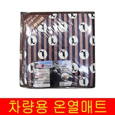 차량용 극세사 전기장판 24V 온열 매트 열선 자동차 화물차 뒷좌석 방석 캠핑 차박, 1개, 색상랜덤24V