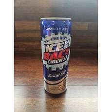 동아제약 얼박사 캔 얼박음료, 355ml, 24개