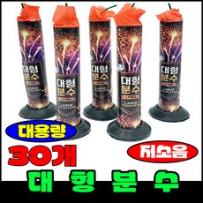 [폭죽 다있소] 로망캔들 연발 분수 스파클라 불꽃놀이 폭죽세트, 22--대형분수 [30개]