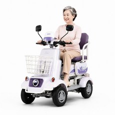 트리플고 안전한 네발 전기자전거 삼륜 전동스쿠터 리튬배터리 오토바이 바이크 자토바이, 600W 48V 20A, 보라