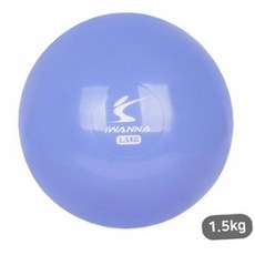 복원력필라테스운동중량볼 충격완화재활운동짐볼 크로스핏홈트레이닝웨이트볼 1.5kg