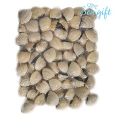 [씨기프트]냉동 백합조개 1kg 해감 백합 탕 파스타 구이 찜, 1개