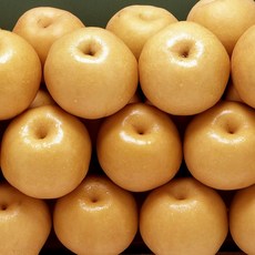 당도선별 달콤아삭! 가정용 햇 신고배, 1개, 5kg 중과