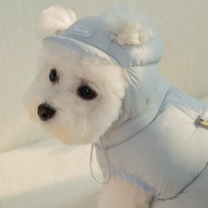 베일리펫 강아지 귀도리 애견 겨울 방한 모자 스노우캡, 1개, 코튼블루