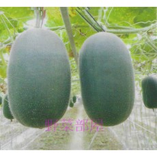 【野菜部屋】K05 寶貝小冬瓜種子 座果率高 瓜型美 味清甜, 1包
