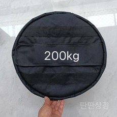 크로스핏모래주머니 훈련 헬스장 운동 중량밴드 피트니스 무게 파우치 모래 코어 트레이닝 샌드백 중량, A. 30KG(모레제외_빈가방)