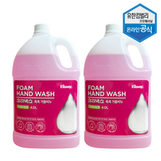 56035 크리넥스 폼 솝 거품비누 손세정제 그린플로럴향, 2개