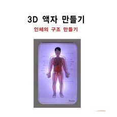 추억샵 3D 액자 만들기 (인체 구조), 1개
