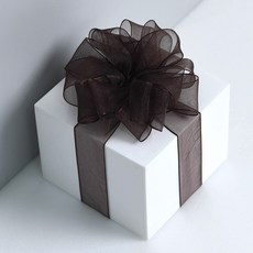 리본리에 무지 오간디 리본 끈, 25mm(50yd), 16.진밤색