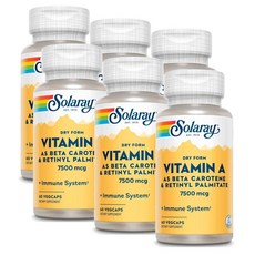 솔라레이 비타민A 베타카로틴 앤 레티닐팔미테이트 SOLARAY Vitamin A, 6개, 60정