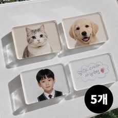 도투소 투명 아크릴 마그넷 냉장고 자석 만들기 키트, 4x6