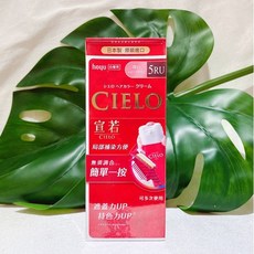 hoyu CIELO 宣若 白髮專用染髮霜 簡單一按 局部補染 日本原裝進口, 1個, #5RU 深紫棕