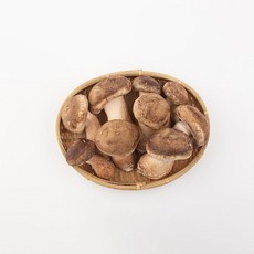 [신선한아침] 국내산 송고버섯 가정용 선물용 중 900g, 1박스