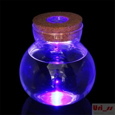 우리상회 마리모 키우기 LED 코르크 유리병 10x11cm 식물키우기