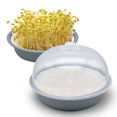 원형 새싹재배기 그레이 / 초록콩나물 재배기 키트 교육용 학습용, 1개