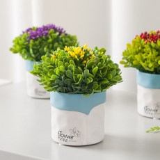 스키미아 조화 화분 미니 믹스 Aset 12cm 4컬러 인테리어 꽃 테이블 장식 소품 꾸미기, 레드, 1개