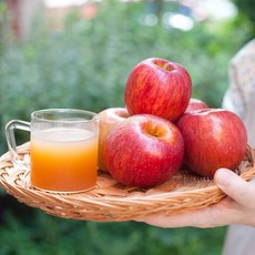 사과즙 NFC착즙 국산 물없이 선물세트, 60개, 100ml