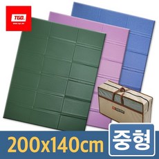 티지오 캠핑매트 (중형 무지) 돗자리 용품, 03 [중형] 블루