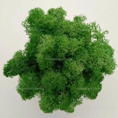 인공 녹색 식물 영원한 생명 DIY 잔디 홈 룸 미니 가짜 50g, 1)10g, green