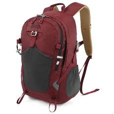 新款戶外登山包徒步運動揹包登山休閒旅行雙肩包20L, 酒紅色:20L, 1個