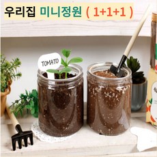 [도대채] 식물재배키트 11종 2+1 ( 우리집 작은정원 ), 딸기(3개)
