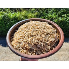 [산지직송]서해안 일대 멸치보다 새우가 많은 밥새우 1.5kg