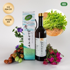 (특허상품) #미나리# 전통항아리에서 자연발효 배양하여 '면역력은 높이고 노화를 낮추는' 해나루 미나리 발효액 750ml [원산지:국산(충청남도 당진시)], 1개