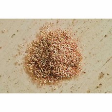 良質商行 阿里山天然愛玉子 100g／300g 附搓洗袋 手作愛玉凍必備, 1個, 300g