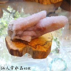 仙人掌水晶45號(Cactus Quartz) 南非, 1個