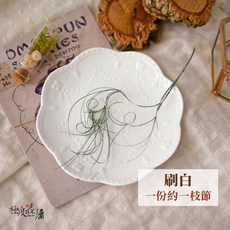 大地農園 永生卷絲草, 【永生卷絲草】刷白,一份約一枝節(請參考圖片)
