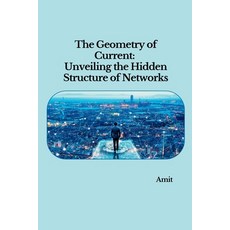 (영문도서) The Geometry of Current: Unveiling the Hidden Structure of Networks Paperback, Tredition Gmbh, English, 9783384251411
