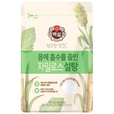 CJ 백설 하얀 자일로스설탕, 500g, 1개