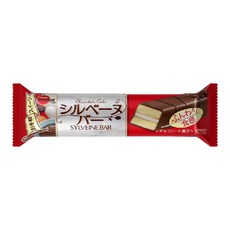 부르봉 실베누 초콜릿 케이크 바, 1개, 40g