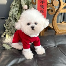 限時熱賣 寵物衣服秋冬新款德絨護肚衣四腳褲狗狗貓咪內搭褲寵物服飾 寵物洋裝 寵物禮服 寵物公主服飾 四季貓狗通用, 1個, 不帶帽（包肚衣）,XXS（胸28-背19•約1.0公斤左右