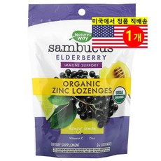 Natures Way 네이처스 웨이 엘더베리 아연 허브 보충제 비타민 C 함유 레몬 사탕정제, 1개, 24정