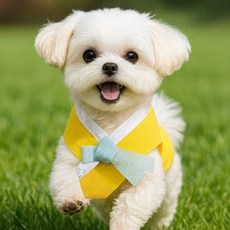 하니펫 반려동물 귀요미스카프 백설 한복 스카프, 옐로우, 1개