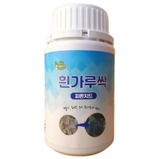 흰가루싹 피톤치드 다육 제라늄 전문, 250ml, 1개