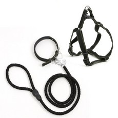 미호스 개목줄 목줄+하네스+리드줄 XS 블랙