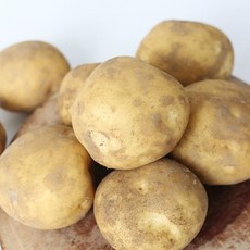 사시사철 맛좋은 우리땅 햇 감자(왕특) 5kg, 1개